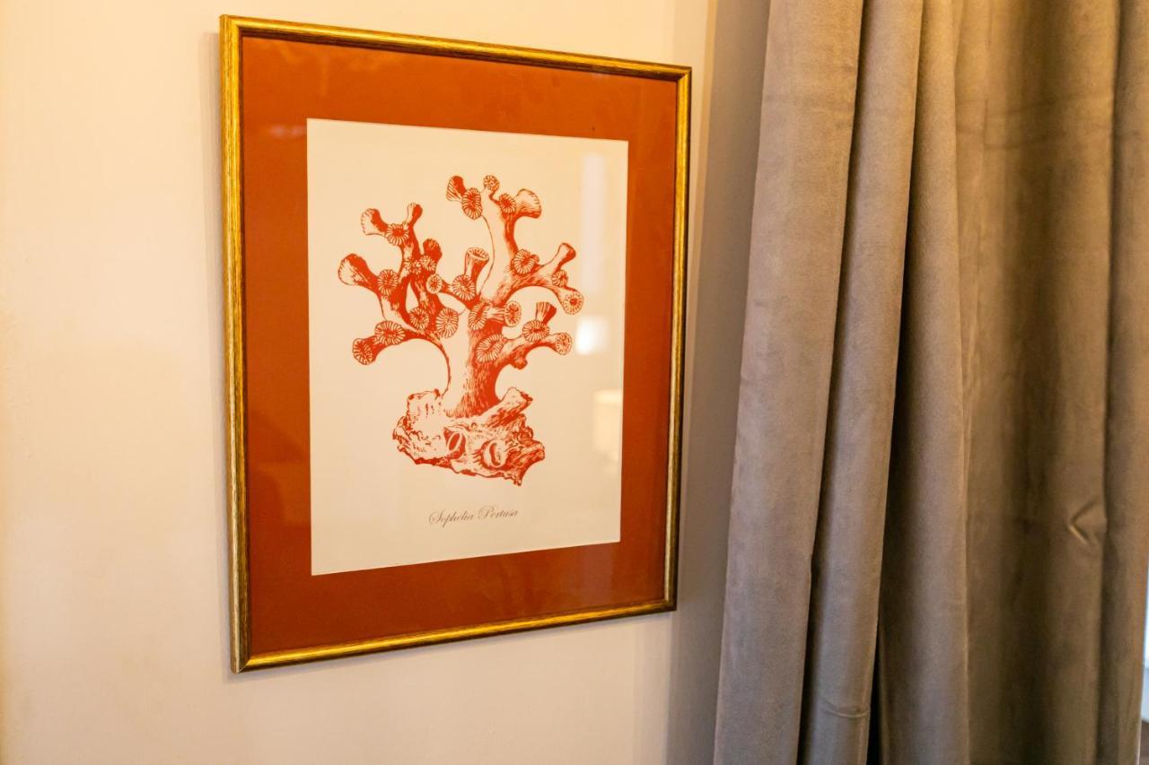 Apartamento 3 Dormitorios En Calle San Vicente. Seville Luaran gambar